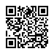QR Code 31911