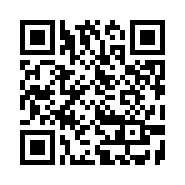 QR Code 31314